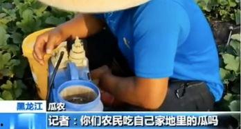 吃瓜肚子怎么不舒服,揭秘肚子不适的真相