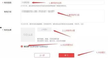 怎么做头条新手教程,轻松掌握头条号运营技巧