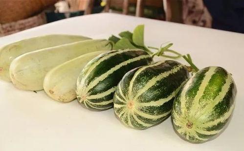 免费吃网红的瓜,揭秘网红圈子的秘密瓜