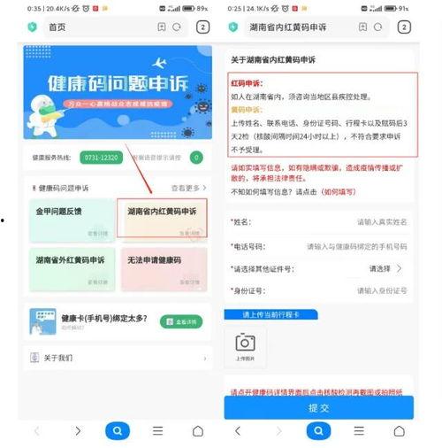 湖南省红黄码申诉网,高效便捷的码证申诉通道