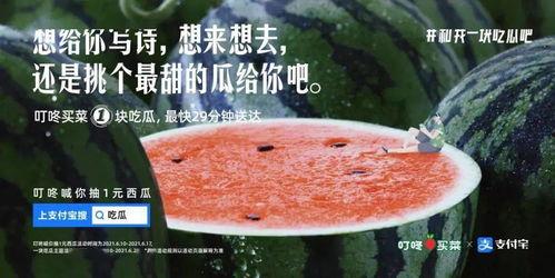 最近吃瓜文案怎么写,一网打尽娱乐圈风云变幻