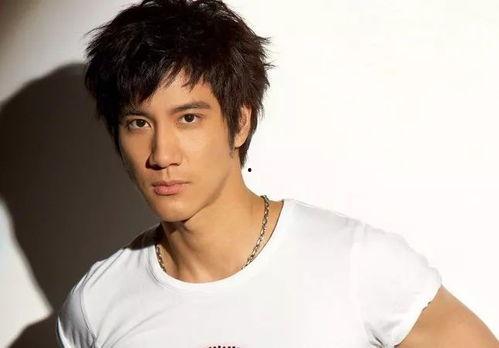 像王力宏的明星,音乐与梦想的完美融合
