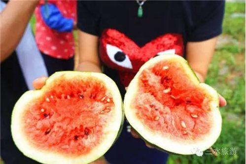 小芋吃瓜,揭秘娱乐圈那些不为人知的幕后故事