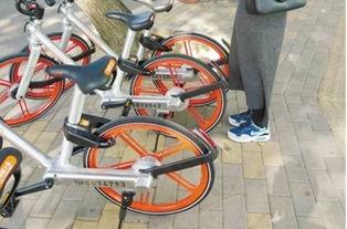 单车走遍中国的网红歌手,歌声传遍——单车走遍中国的网红歌手传奇之旅