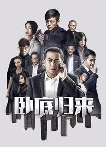 卧底归来在线正片观看,揭秘卧底生涯的惊心动魄