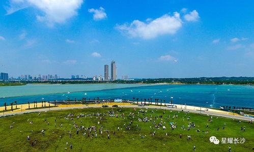 松雅湖今日头条,探寻自然之美，共赏生态画卷