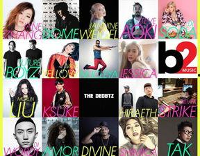 明星音乐唱片,明星音乐唱片背后的故事与魅力