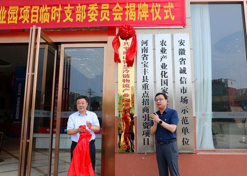 河南保丰今日头条,聚焦乡村振兴，助力农业现代化发展