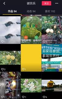 网红柠檬产业发展大会,首届产业发展大会盛大启幕